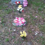 Fannie Adams Scaggs (b. Jun. 16, 1896 d. Dec. 9, 1962) fannie-adams-scaggs-b-jun-16-1896-d-dec-9-1962