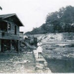 1938 Fisher Bottom and Island Creek. Cherry Tree is on the other side of the creek. Courtesy of Cora Sloan Harrison. 1938 Fisher Bottom and Island Creek