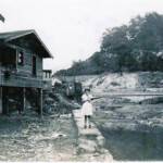 1938 Fisher Bottom and Island Creek. Cherry Tree is on the other side of the creek. Courtesy of Cora Sloan Harrison. 1938 Fisher Bottom and Island Creek
