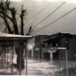 Flood Near Chicico Grocery Flood Near Chicico Grocery