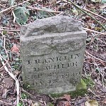 Franklin D White