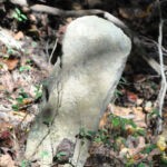 Patsy White Conley Cemetery at Crooked Creek Patsy White Conley