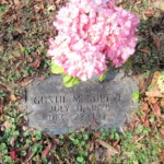 Gustil M. Shreve