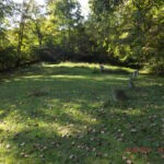 McDonald on Crooked Creek courtesy of Diane Vinson Childers. McDonald on Crooked Creek