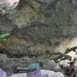 (408) Cemetery at Crooked Creek 408