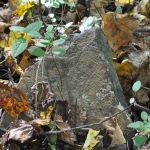 (410) Cemetery at Crooked Creek 410