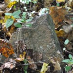 (410) Cemetery at Crooked Creek 410