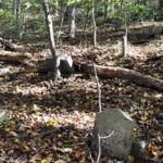 (91) Cemetery at Crooked Creek 91