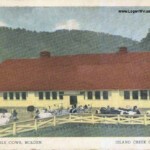 Holden Dairy Farm