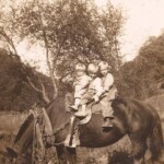 On Fred were Gerald Mullins, Garfield and Ernest Dingess. Submitted by Loretta Mullins. <br /> Contest Entry #39 39 - Horse and Boys