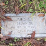 James Ace Browning