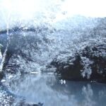 1952 Logan Centennial Celebration photo by Don Freeman. 1952 Logan Centennial Celebration photo by Don Freeman