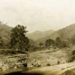 Island Creek south just south of Monitor # 1 Island Creek south just south of Monitor # 1