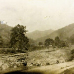 Island Creek south just south of Monitor # 1 Island Creek south just south of Monitor # 1