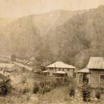 Monitor # 3 Monitor # 3