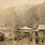 Monitor # 3 Monitor # 3