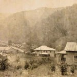 Monitor # 3 Monitor # 3