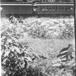 Monitor Ball Park with Train in Background Monitor Ball Park with Train in Background