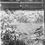 Monitor Ball Park with Train in Background Monitor Ball Park with Train in Background