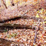 Old foundation at Chief Logan Park