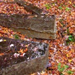Old foundation at Chief Logan Park