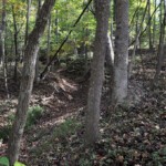 Part of the old road