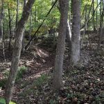 Part of the Cemetery at Crooked Creek Part of the old road