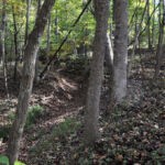 Part of the Cemetery at Crooked Creek Part of the old road