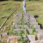 Steps up to the McDonald Cemetery at Peach Creek. Courtesy of Diane Vinson Childers. Steps up to the McDonald Cemetery (4)
