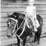 This photo of me on Beauty the Pony was taken summer of 1939 at Shamrock Hill. Mother put on my Sunday dress and Mary Jane shoes. My parents were Flossie and Jess Hensley. 1 - Peggy Hensley on Beauty the Pony