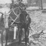 Rigsby family of Omar. Rigsby Family Photo