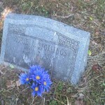 Roxie L. Farmer Stollings (b. Jul. 2, 1873 d. Feb. 12, 1948) roxie-l-farmer-stollings-b-jul-2-1873-d-feb-12-1948