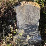 S. Aldredge Note: First initial of name missing. Jan. 20, 1850 - Aug. 4, 1887 S. Aldredge