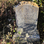 S. Aldredge Note: First initial of name missing. Jan. 20, 1850 - Aug. 4, 1887 S. Aldredge