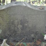 Sally E. Godby