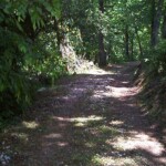 Road to the Scaggs Cemetery at the mouth of Caney Branch, Chapmanville, WV scaggs-cemetery-road-at-the-mouth-of-caney-branch-chapmanville
