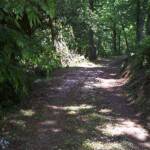 Road to the Scaggs Cemetery at the mouth of Caney Branch, Chapmanville, WV scaggs-cemetery-road-at-the-mouth-of-caney-branch-chapmanville