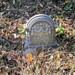 Tayor Buskirk Apr. 7, 1895 - Jul. 18, 1895 Tayor Buskirk