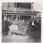 Logan County, WV - the Logan Wild Cats’ Battle Flag