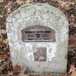 Tilda Ellis