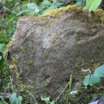 145