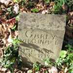 Virgina L. Carey