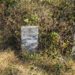This is possibly the grave of William R. Aldredge who died 5 Dec 1873. This was the only record found for a William Aldredge. William Aldredge