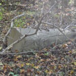 (186) William ?? Cemetery at Crooked Creek 186