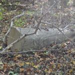 (186) William ?? Cemetery at Crooked Creek 186