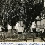 Fisher Bottom was demolished when the Logan Blvd. was built. With permission & courtesy of wvhistoryonview.org. Fisher Bottom was demolished when the Logan Blvd. was built. With permission & courtesy of wvhistoryonview.org