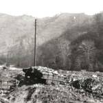 Earling, WV courtesy of John Paul Curry. Earling, WV