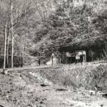 Tracks at Earling courtesy of John Paul Curry. Earling, WV