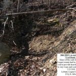 Old coal bank at Lyburn. Lyburn, WV