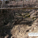 Old coal bank at Lyburn. Lyburn, WV